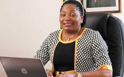 CCZ calls for collaboration over speculative pricing.