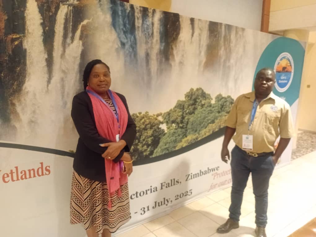 521655055_122134022540833371_6310187342392357765_n