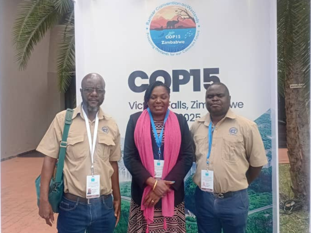 Untitled design (49)