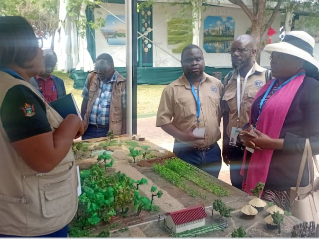 Untitled design (50)