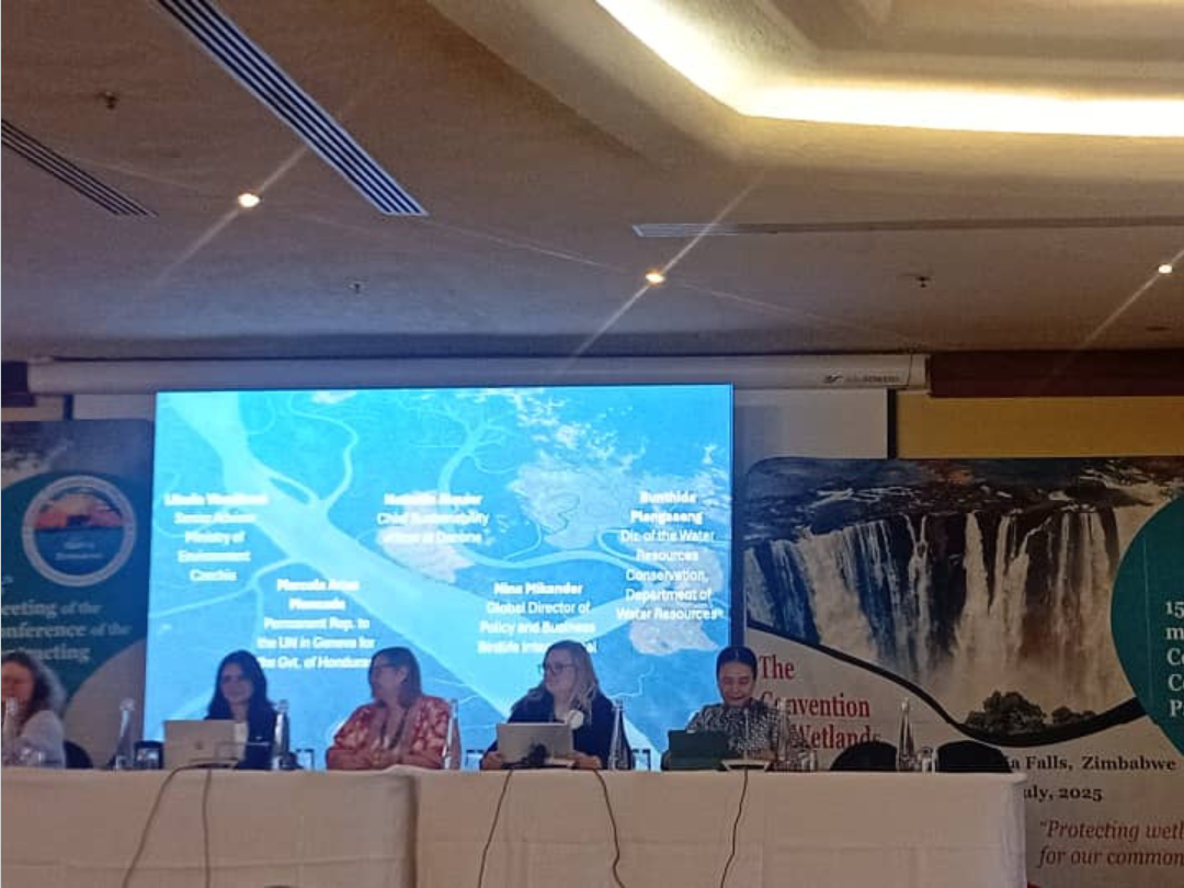 Untitled design (51)