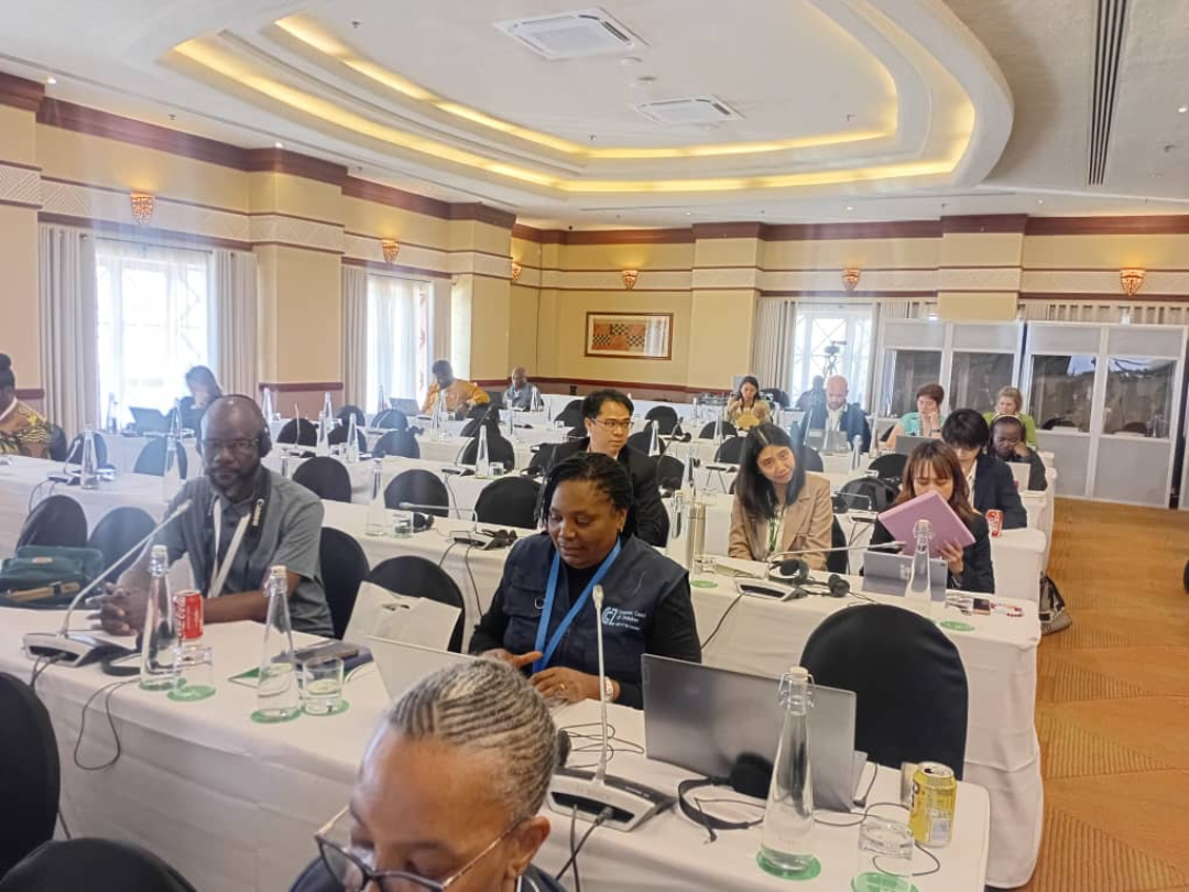 Untitled design (53)