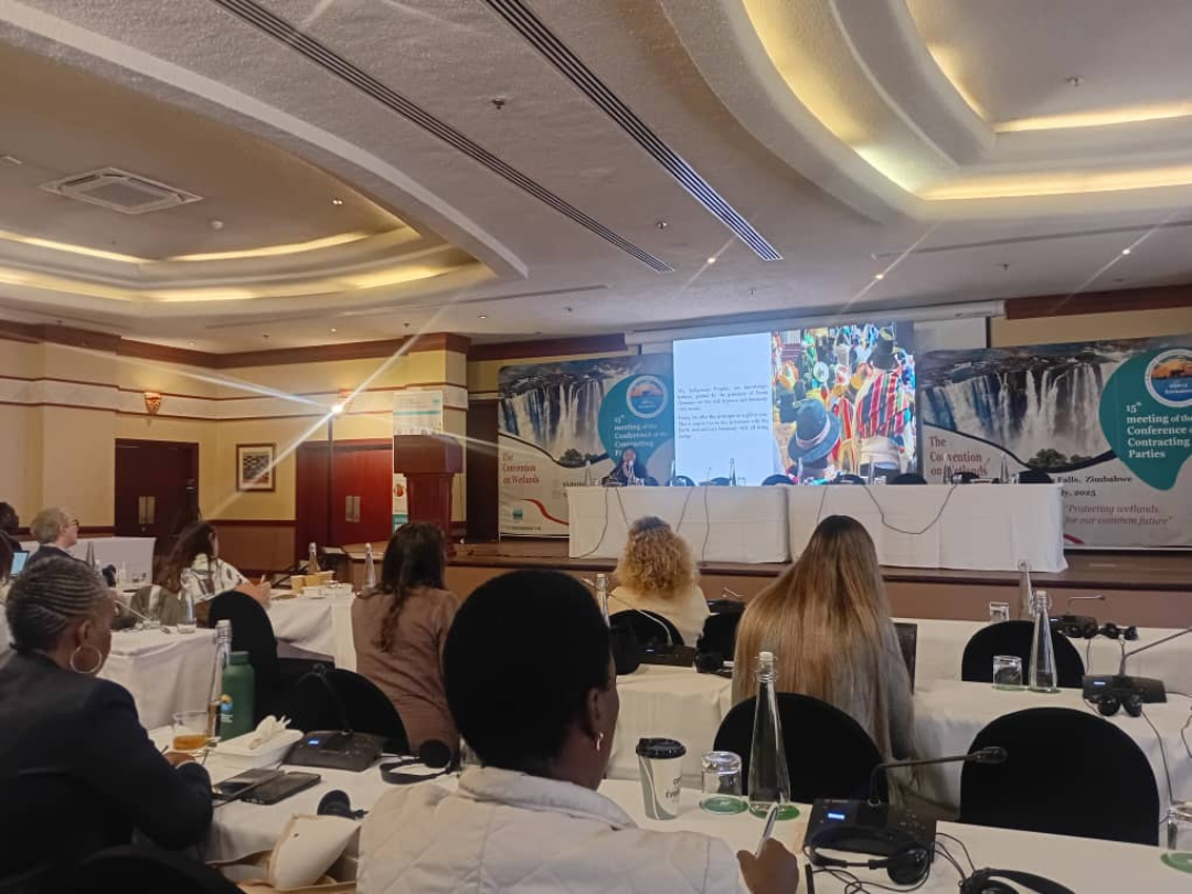 Untitled design (54)