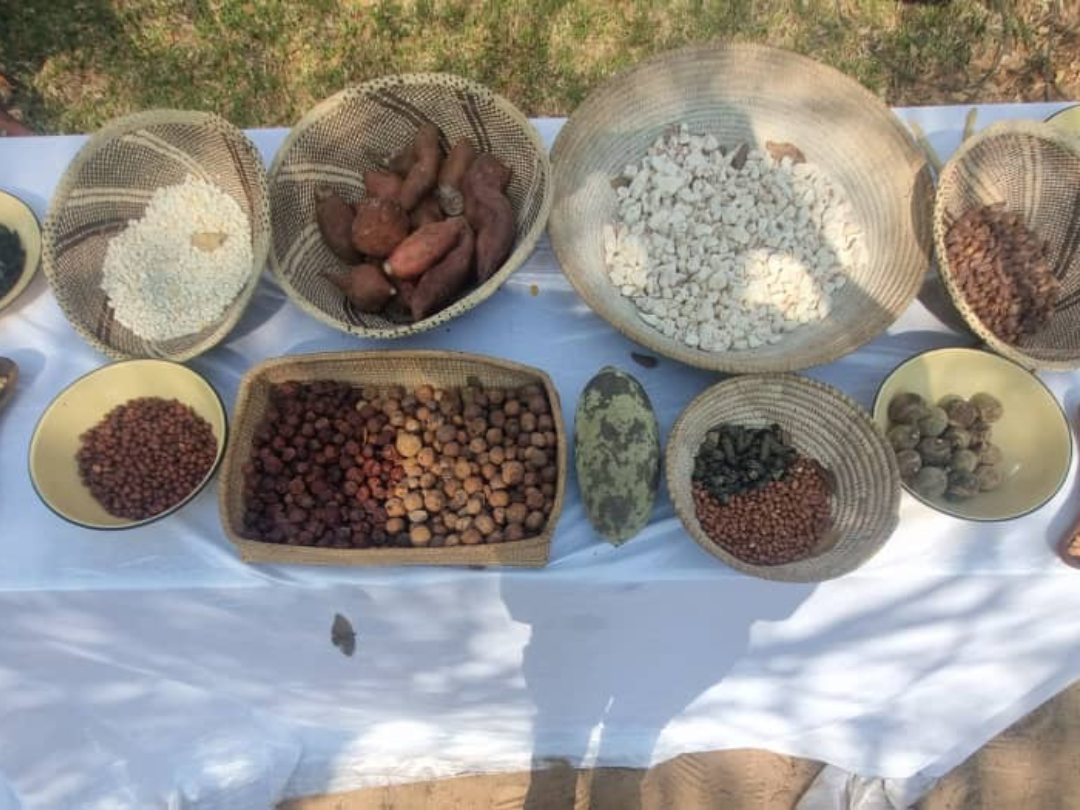 Untitled design (22) Meeting<br />