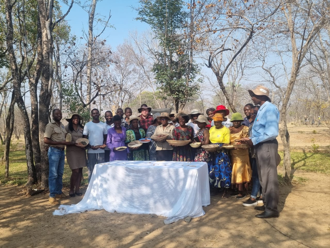 Untitled design (23)