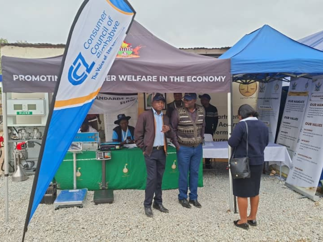 Untitled design (41)