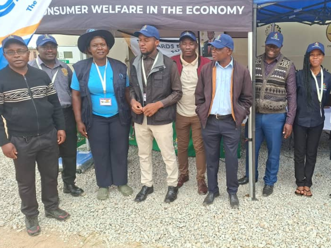 Untitled design (42)