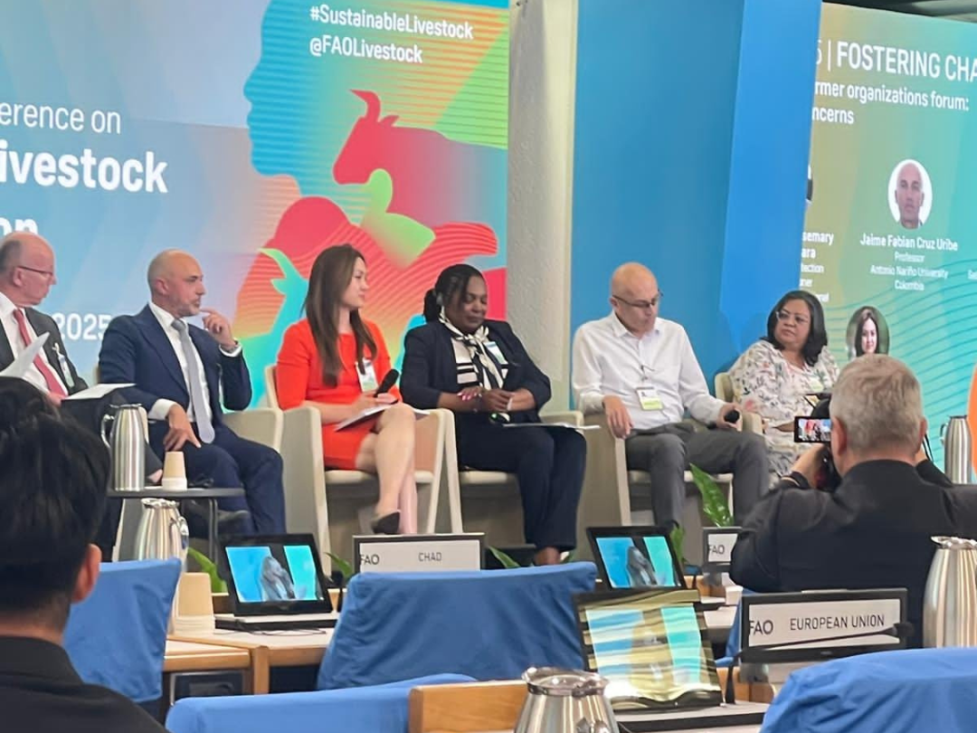 Untitled design (51)