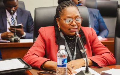 CCZ CEO Mrs Rosemary Mpofu Presenting before the Committee on Industry and Commerce & the Committee on Information and Communication Technology (ICT)