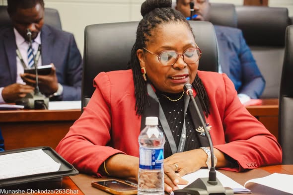 CCZ CEO Mrs Rosemary Mpofu Presenting before the Committee on Industry and Commerce & the Committee on Information and Communication Technology (ICT)